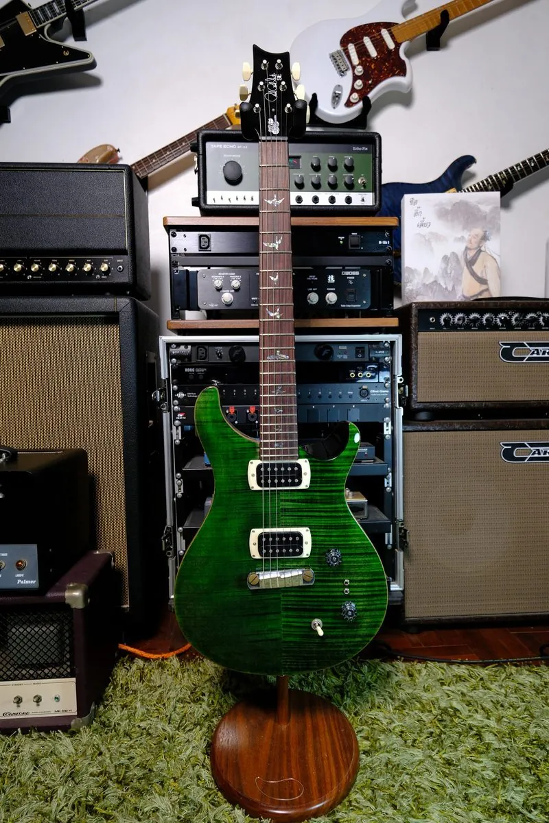 PRS SE Paul's Guitar