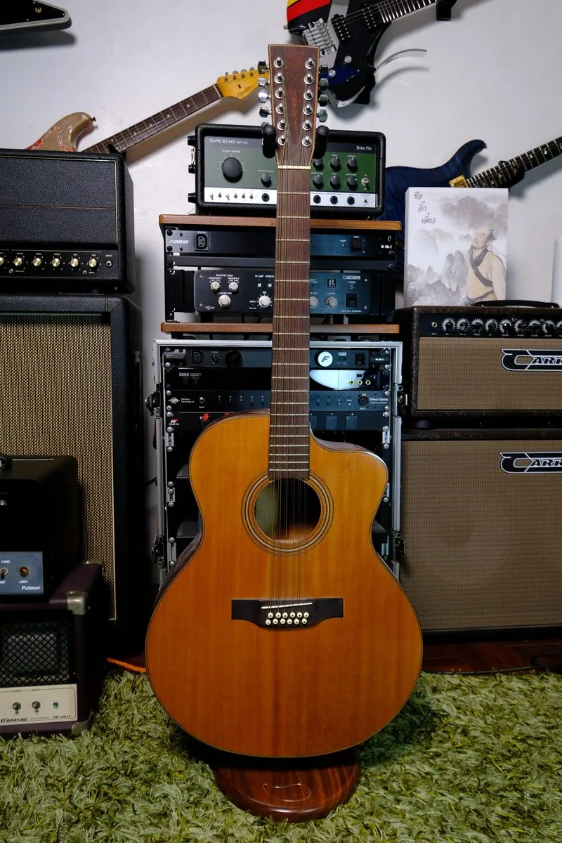 Vietnamese Custom 12-Strings